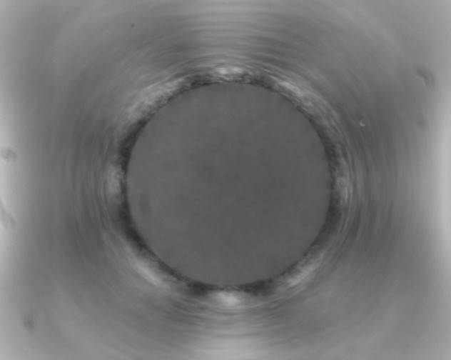 X0000091170654200708091205