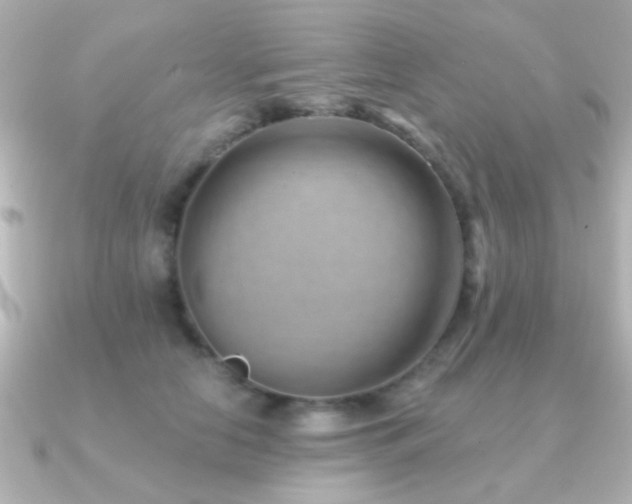 X0000091170658200708091205