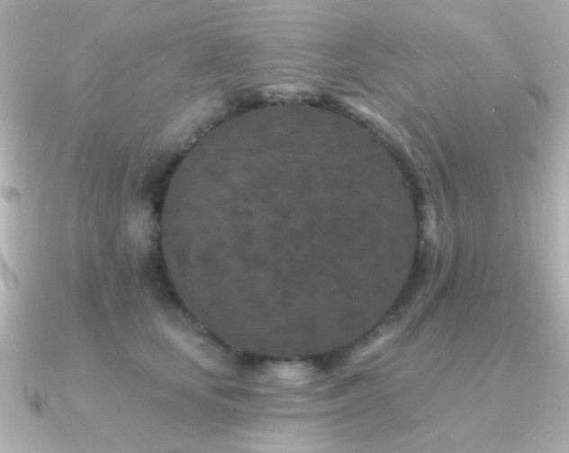X0000091170659200708091205