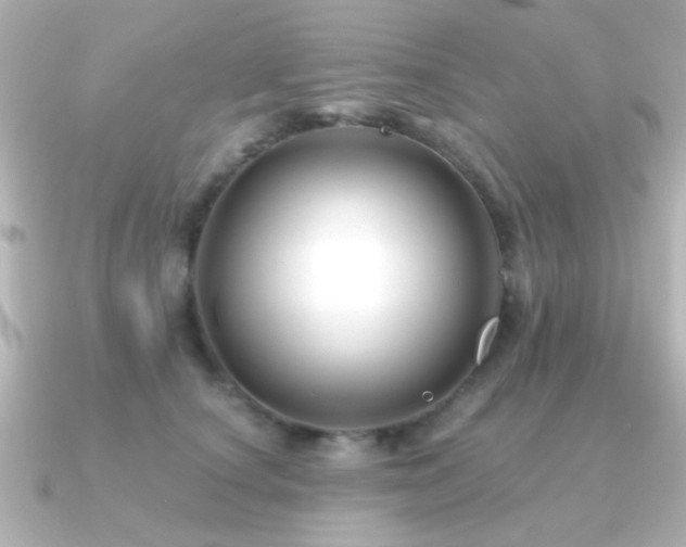 X0000091170660200708091205