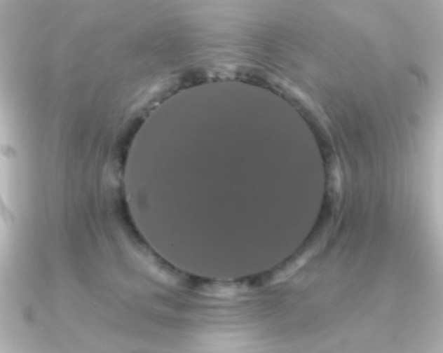 X0000091170661200708091205