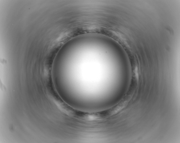 X0000091170662200708091205