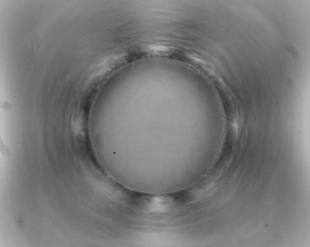 X0000091170663200708091205