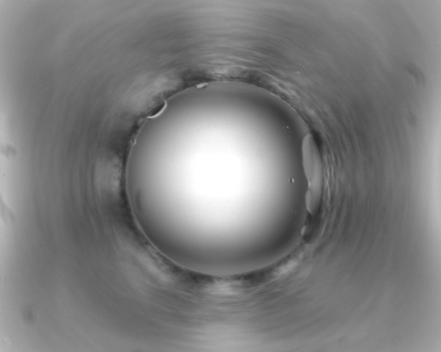 X0000091170664200708091205