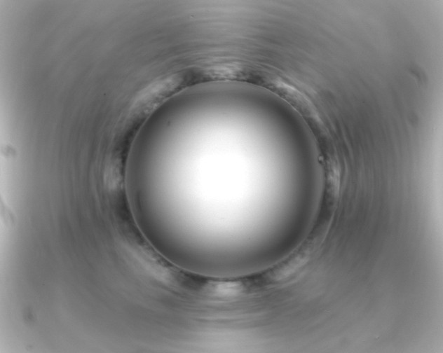 X0000091170665200708091205