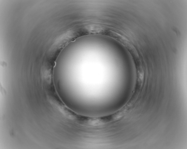 X0000091170666200708091205