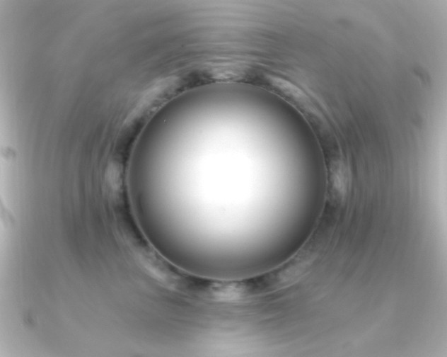 X0000091170667200708091205