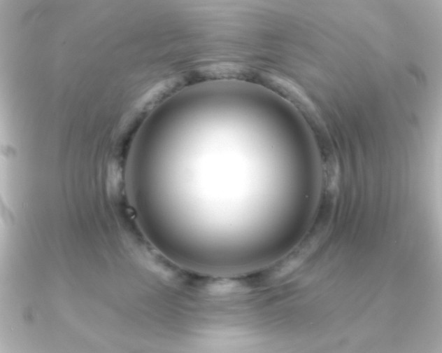 X0000091170669200708091205
