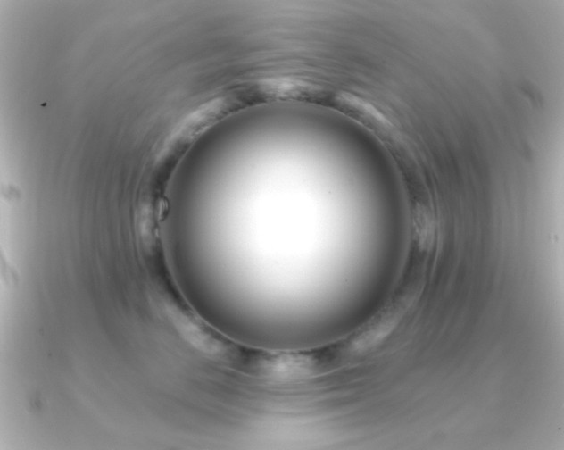 X0000091170670200708091205