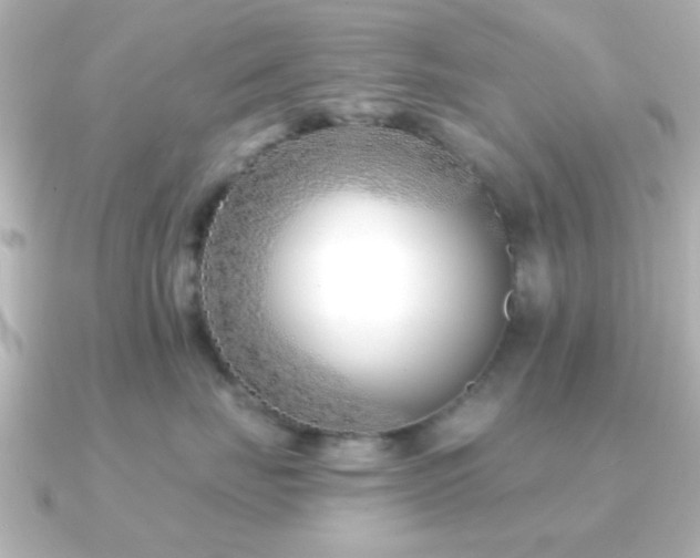 X0000091170671200708091205