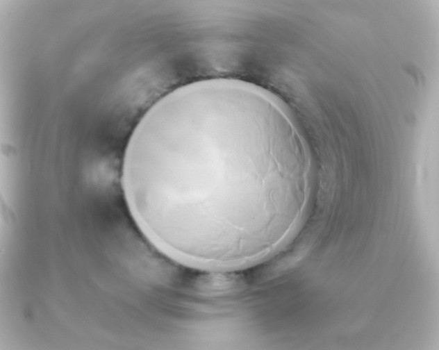 X0000091170672200708091205