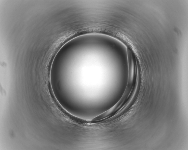 X0000091170673200708091205