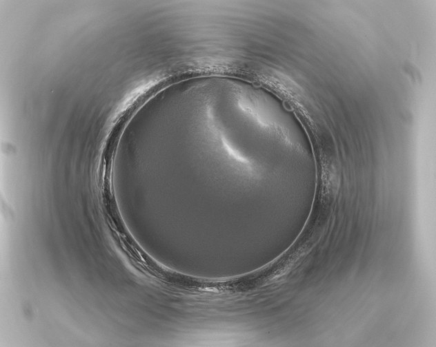 X0000091170674200708091205
