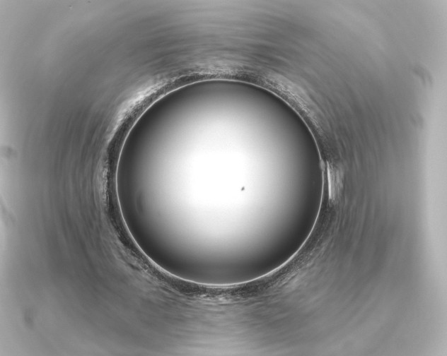 X0000091170675200708091205