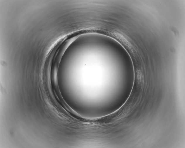 X0000091170676200708091205