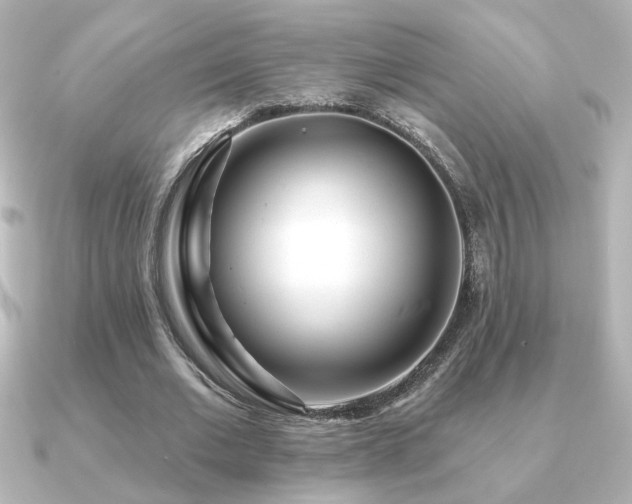 X0000091170677200708091205