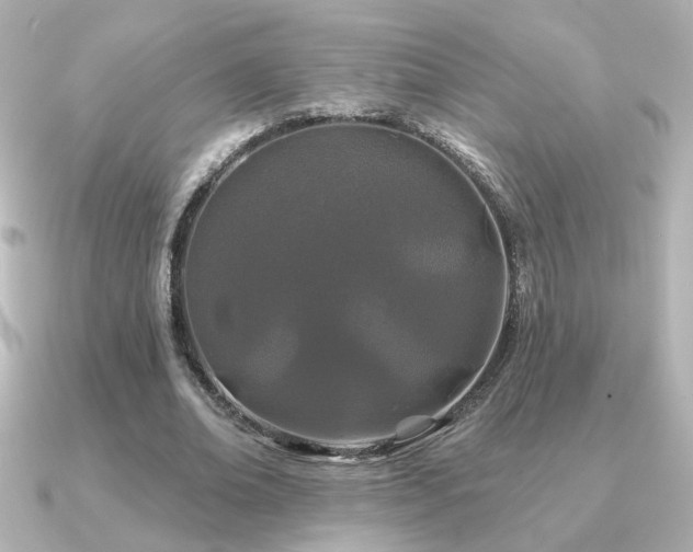 X0000091170678200708091205