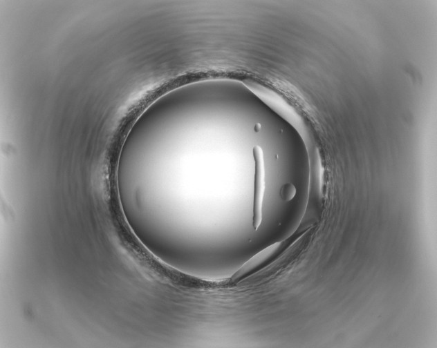 X0000091170680200708091205