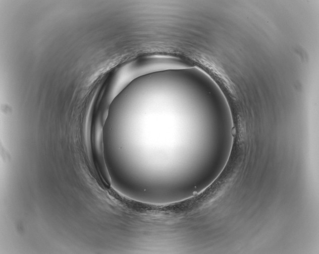 X0000091170681200708091205