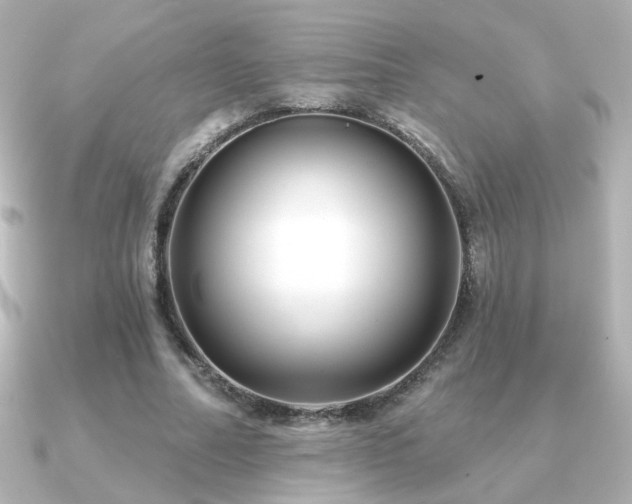 X0000091170682200708091205