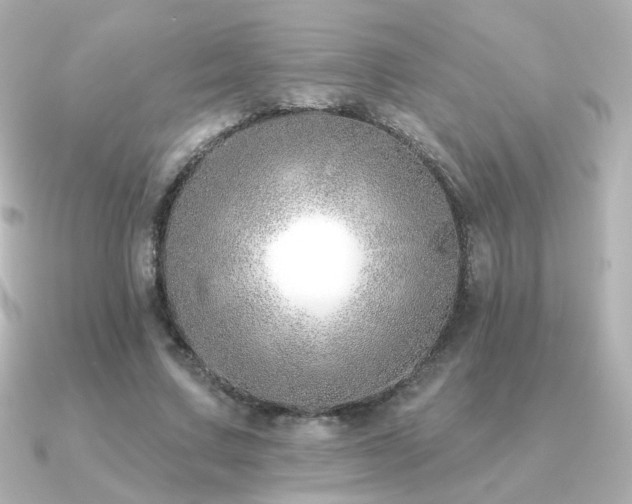 X0000091170683200708091205