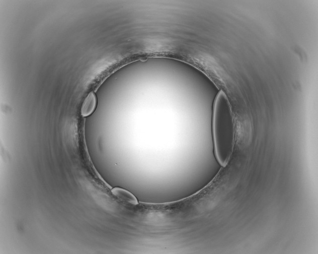 X0000091170684200708091205