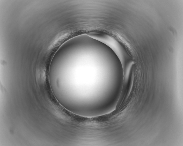 X0000091170685200708091205