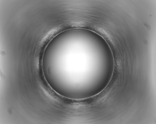 X0000091170686200708091205