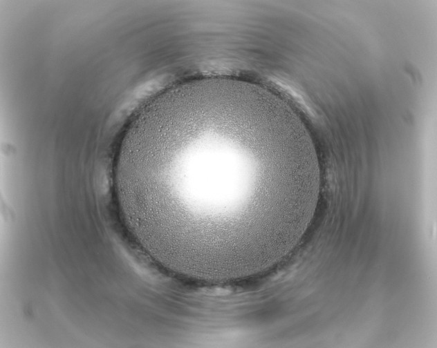 X0000091170687200708091205