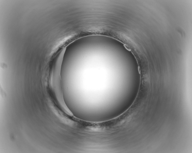 X0000091170688200708091205