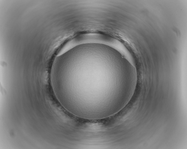 X0000091170689200708091204