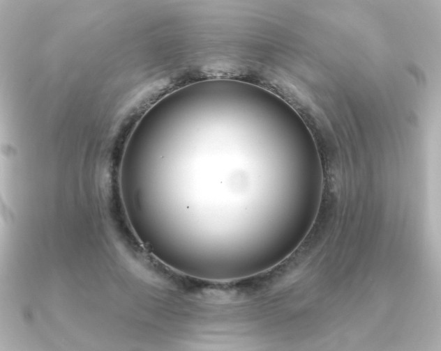 X0000091170690200708091204