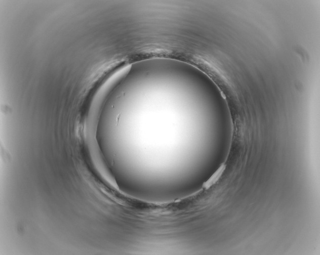 X0000091170692200708091204