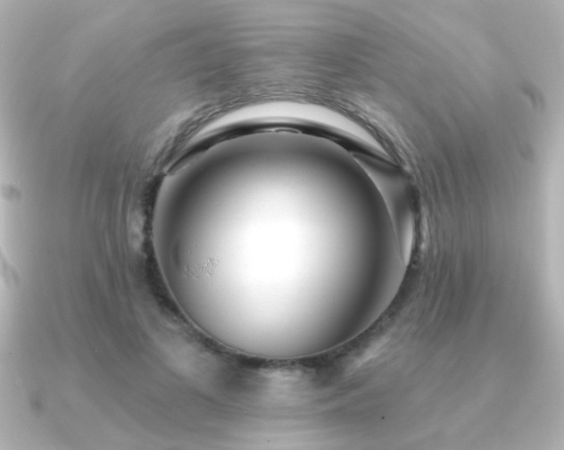 X0000091170693200708091204