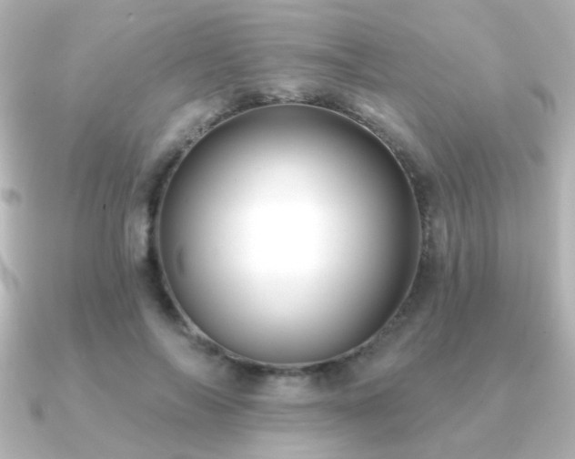 X0000091170694200708091204