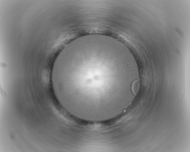 X0000091170695200708091204