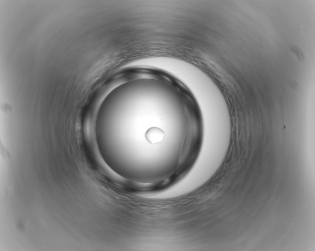 X0000091170696200708091204