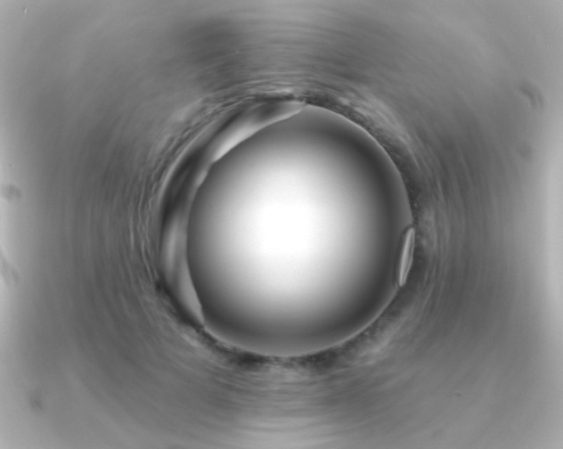 X0000091170697200708091204