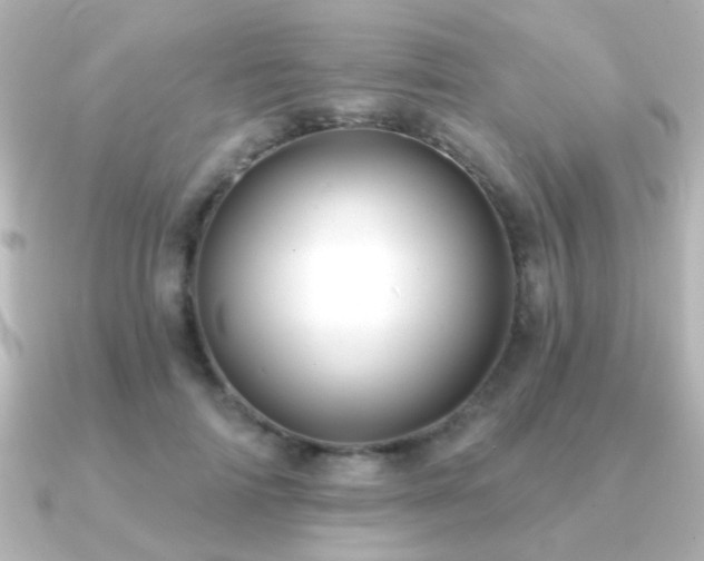 X0000091170698200708091204