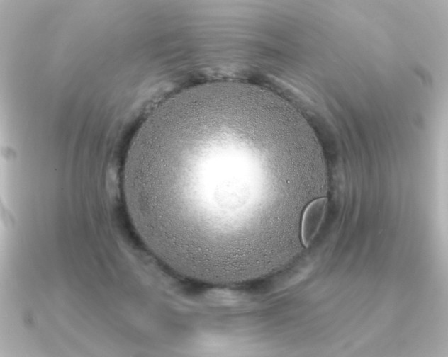 X0000091170699200708091204