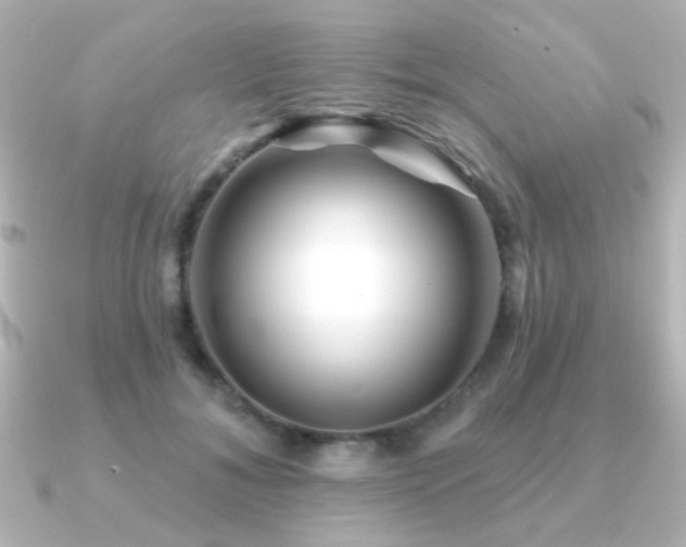 X0000091170700200708091204