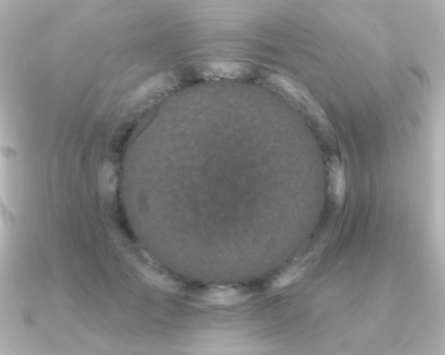 X0000091170701200708091204