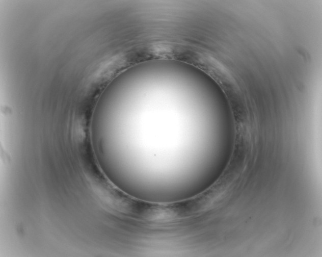 X0000091170702200708091204