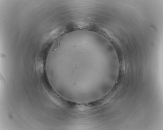 X0000091170703200708091204