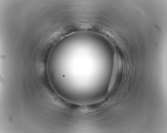 X0000091170704200708091204