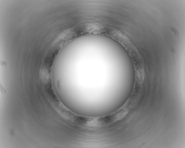 X0000091170705200708091204