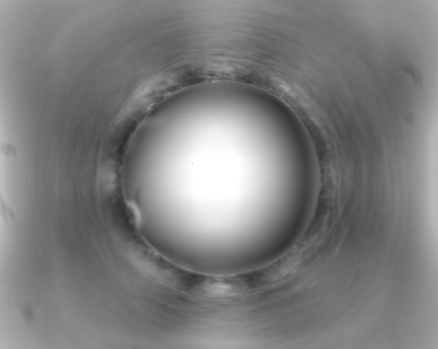 X0000091170706200708091204
