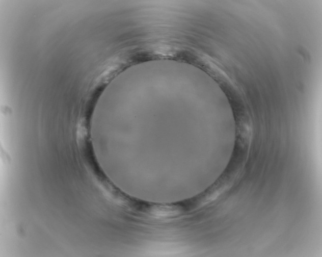 X0000091170707200708091204