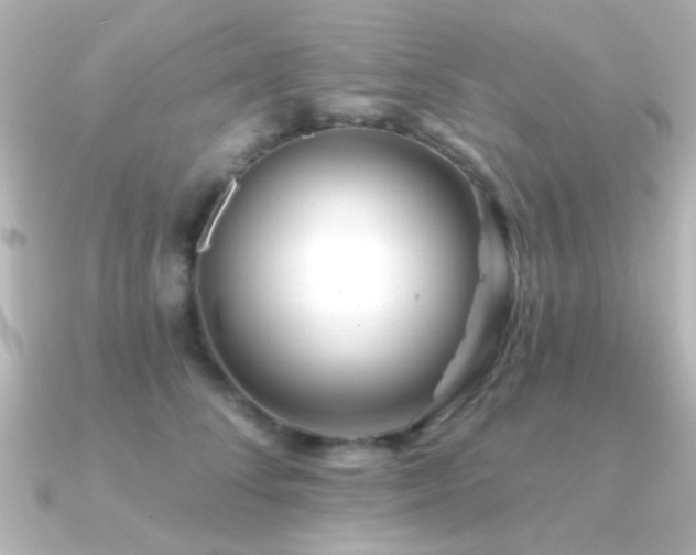 X0000091170708200708091204