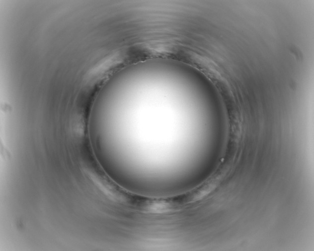 X0000091170710200708091204